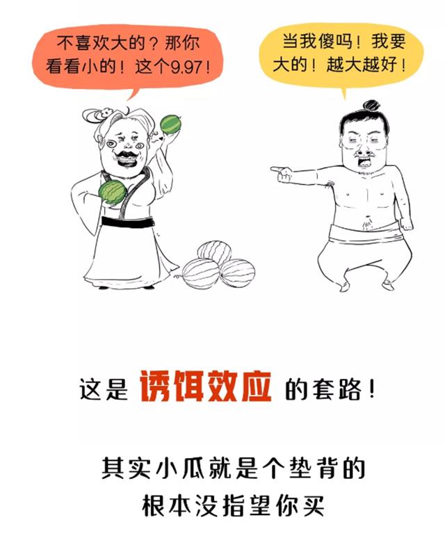 活动方案