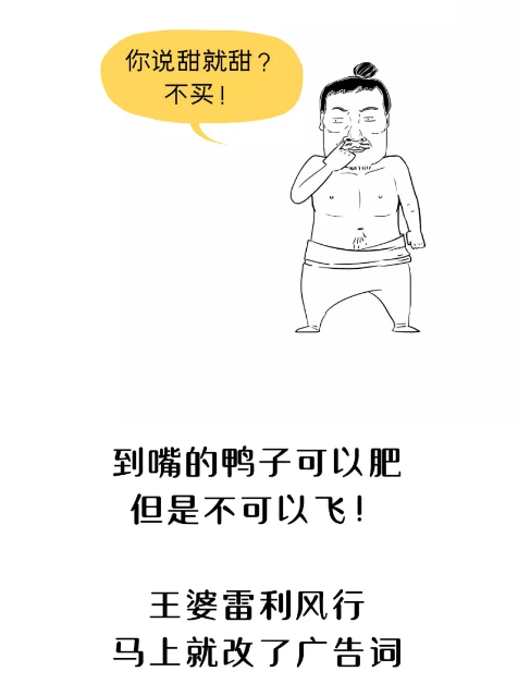 活动方案