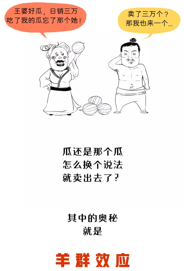 经营方案